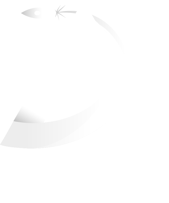 Apollo360